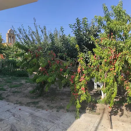 Thanos House - σπίτι στην εξοχή Mirsinochori