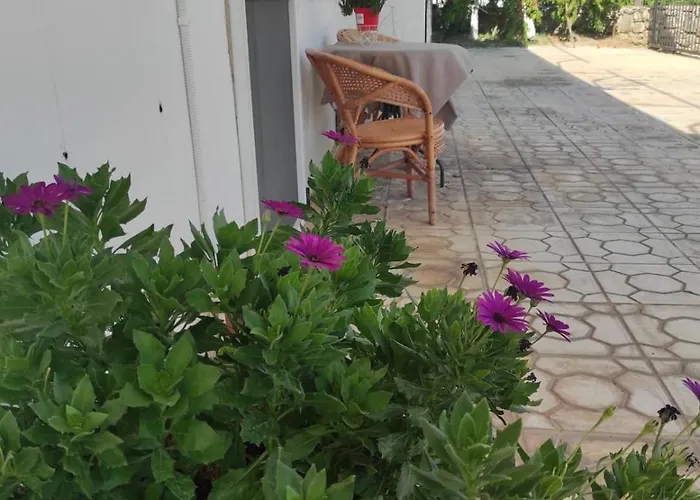 Thanos House - Σπίτι Στην Εξοχή * Mirsinochori